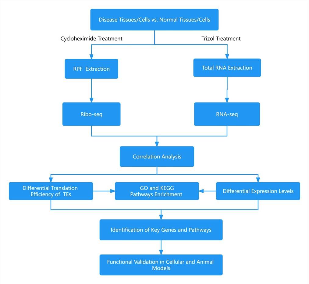 Ribo-seq Research Strategy