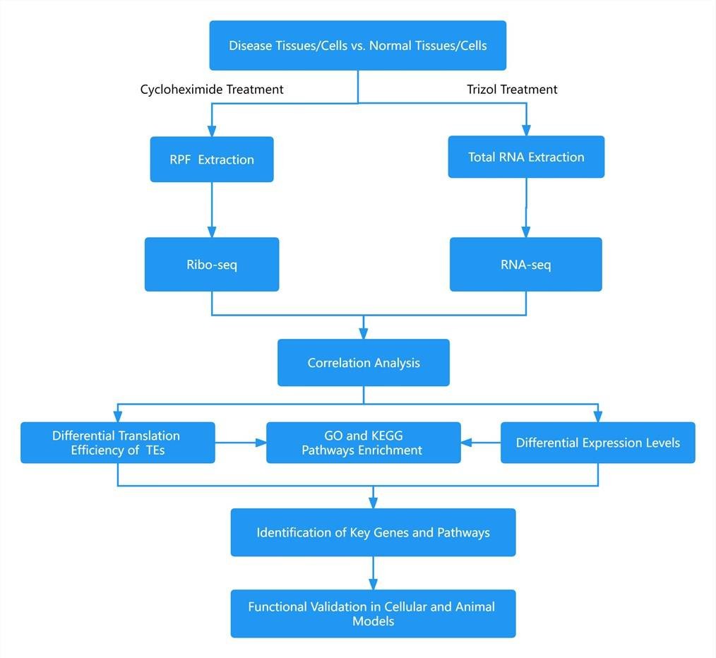 mitochondrial-dna-mtdna-sequencing-1-1