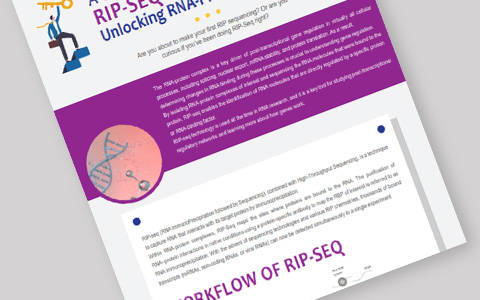 A Beginners Guide to Study RNA-Protein Interactions with RIP-Seq
