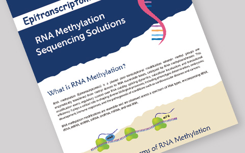 RNA Methylation Analysis: Choosing the Right Method 