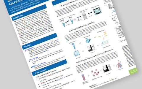 RNA-seq, ATAC-seq, and CRISPR Screening