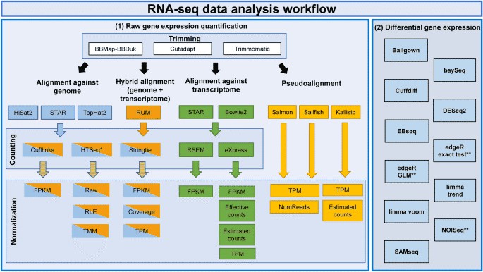 Figure 1. Workflow of RNA-seq analysis for gene expression. (Corchete, 2020)