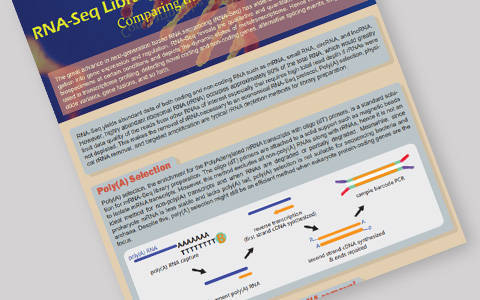 RNA-Seq Library Preparation: Comparing the rRNA Depletion Methods