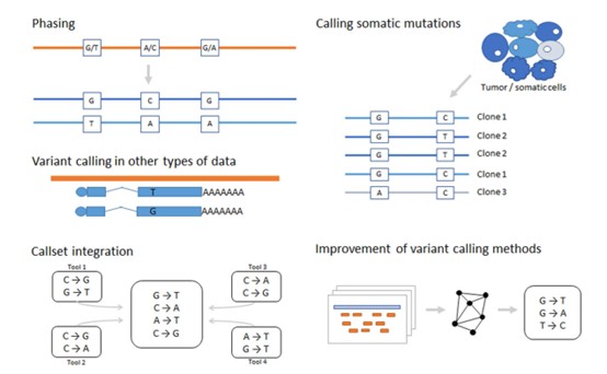 Figure 2. Current developments and challenges in variant identification technologies and algorithms. (Stepanka Zverinova, 2021)
