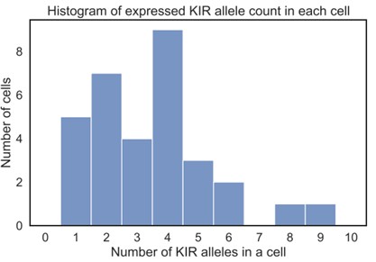 Figure 3. Visualization of the number of expressed KIR alleles in a single cell, showing allelic variation and expression patterns. (Song, L, 2023)
