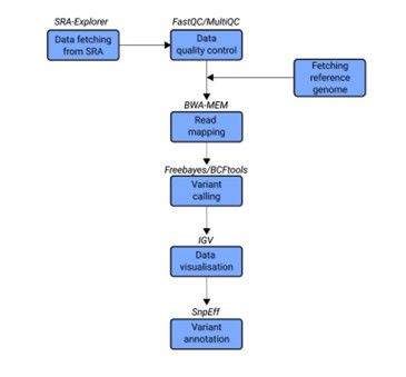 RNA-Seq Variant Calling Pipeline: From Transcript Reads to Validated Mutations