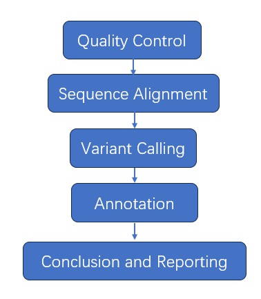 The Data Analysis Pipeline of Sanger Sequencing.