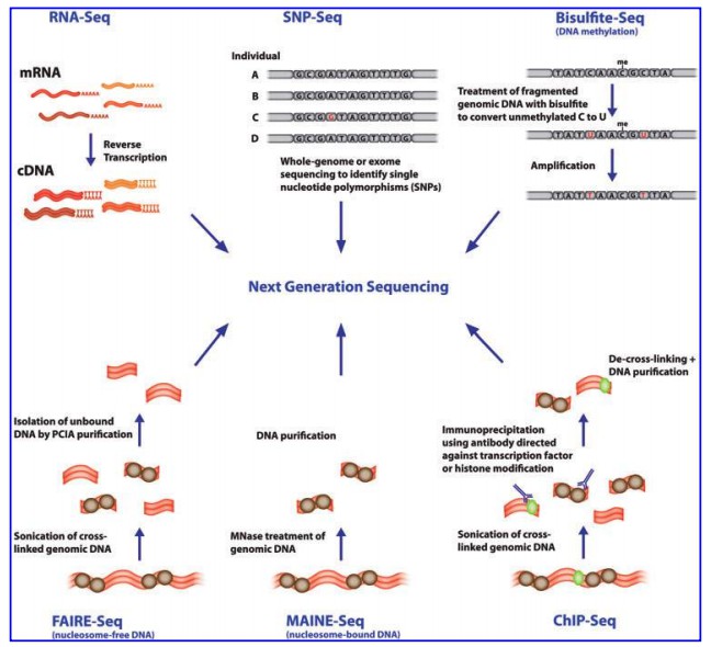 Overview of Applications of NGS