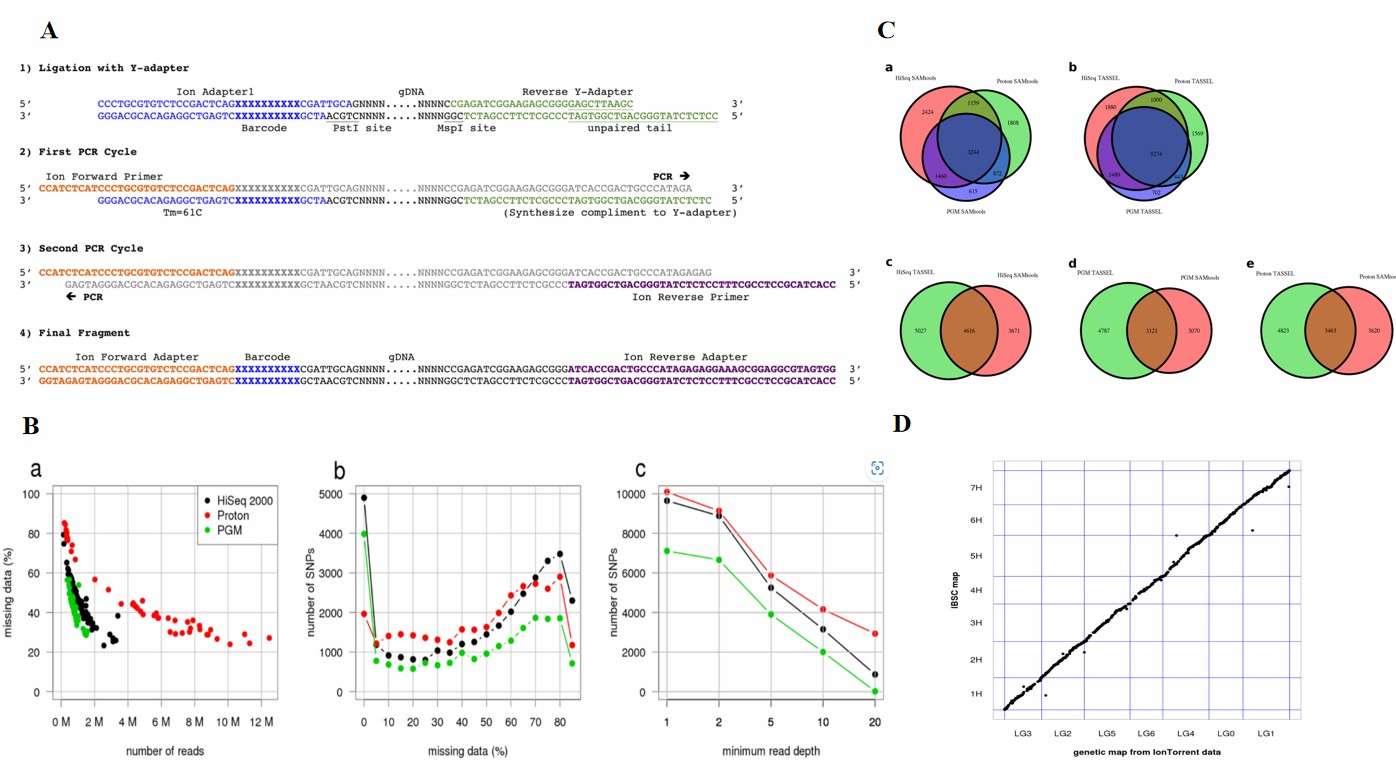 Genotyping-by-Sequencing on semiconductor platforms (Mascher et al., 2013)