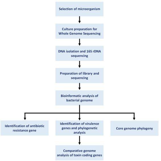 Integration of Different Methods