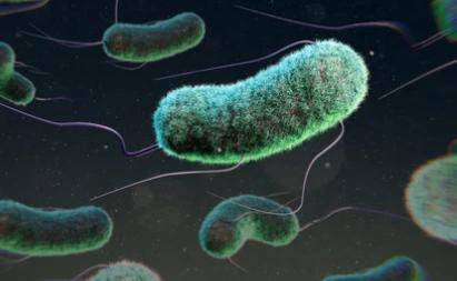 Sequencing Techniques in Identification of Bacterial Virulence Genes