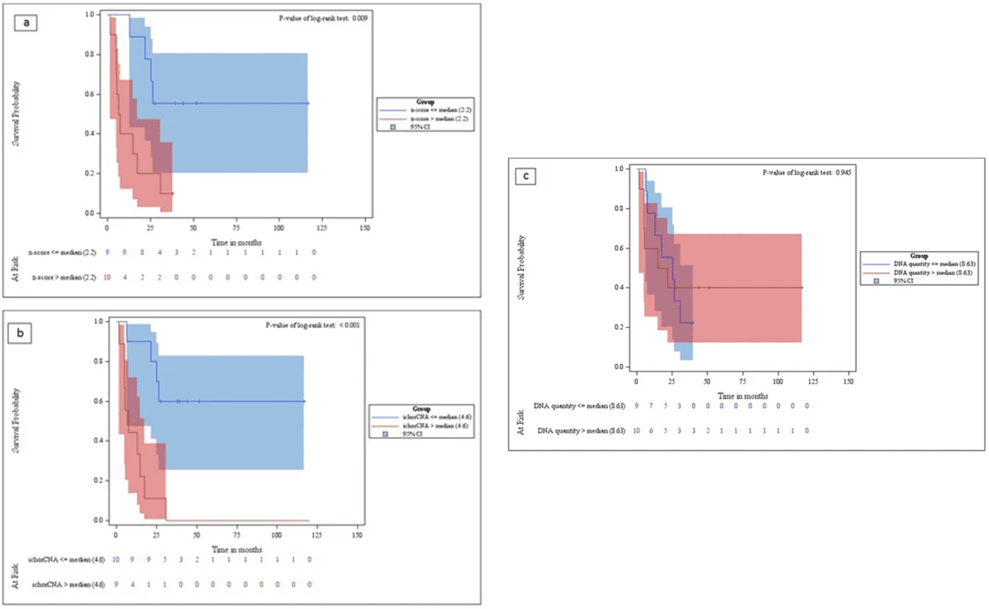 Fig 3. Kaplan–Meier survival curves depicting overall survival among metastatic breast cancer patients. (Bourrier et al., 2020)