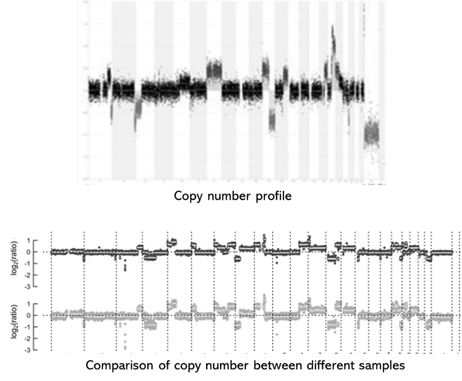 The Shallow Whole Genome Sequencing Results Display Figure. 