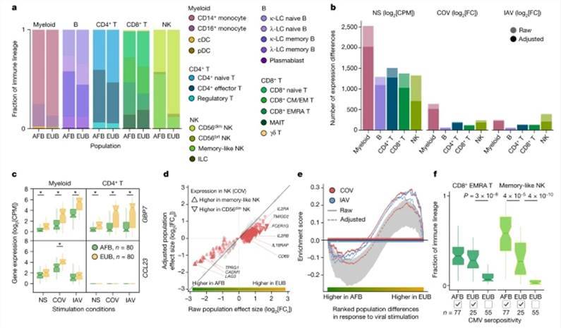 Cellular composition affects the transcriptional responses to viral stimuli.