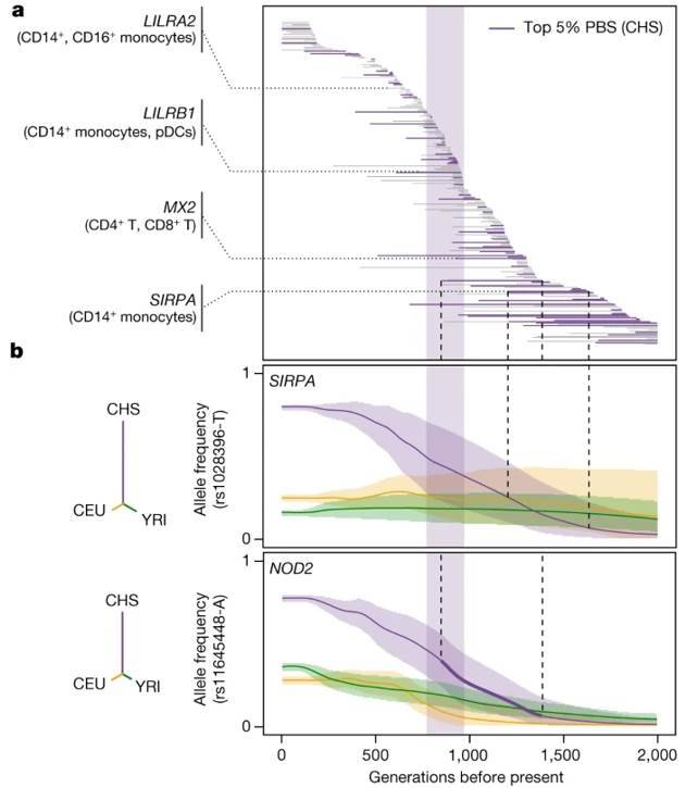 Natural selection effects on population differentiation of immune responses.