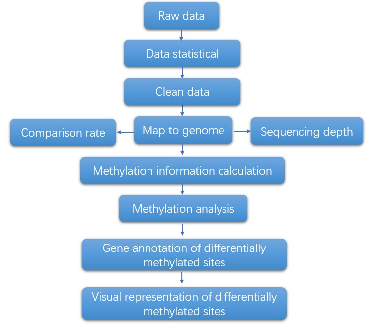 The Data Analysis Pipeline of Single-cell DNA Methylation Sequencing.
