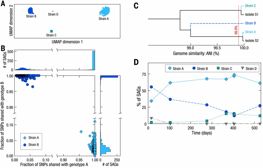 Fig. 3. Genomic profiles delineating strain-level resolution of B. vulgatus within the human gut microbiome. (Zheng et al., High-throughput, single-microbe genomics with strain resolution, applied to a human gut microbiome, 2022)
