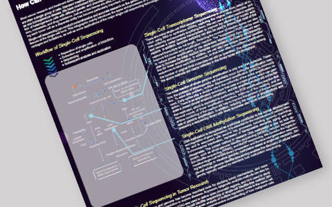 How Can Single-Cell Sequencing Facilitate Tumor Research?