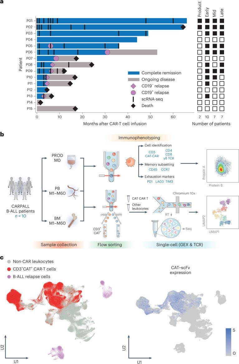 Single-cell Sequencing Combined with CAR-T to Explore Tumor Therapies