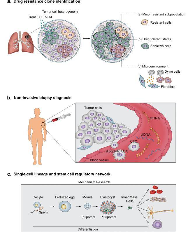 Single-Cell Transcriptome Research Methods and Applications