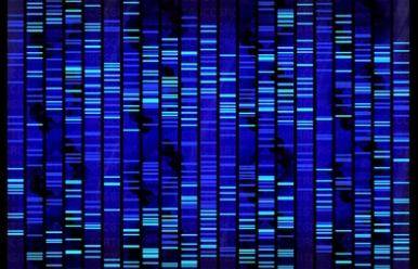 Single-read vs. Paired-end Sequencing