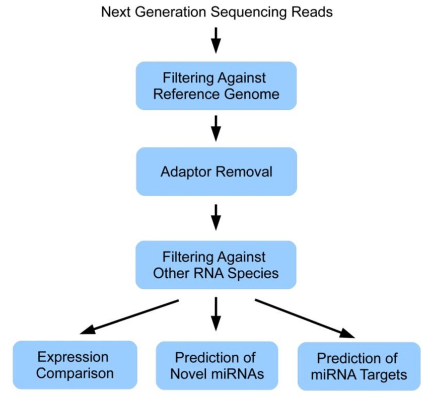 Data analysis workflow of a miRNA next generation sequencing experiment. (Susanne Motameny et al,. 2010)