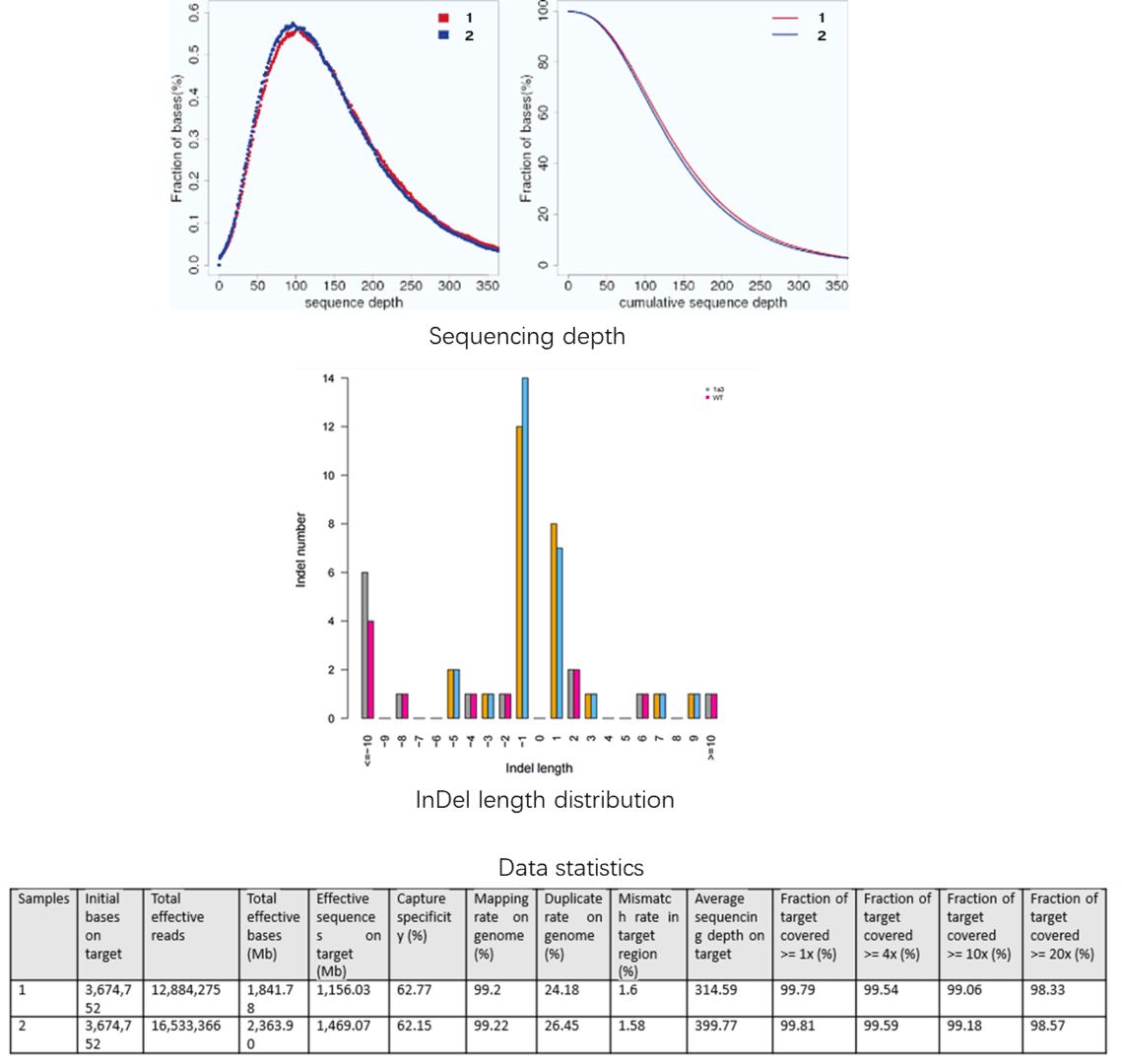 The Targeted Region Sequencing Results Display Figure. 