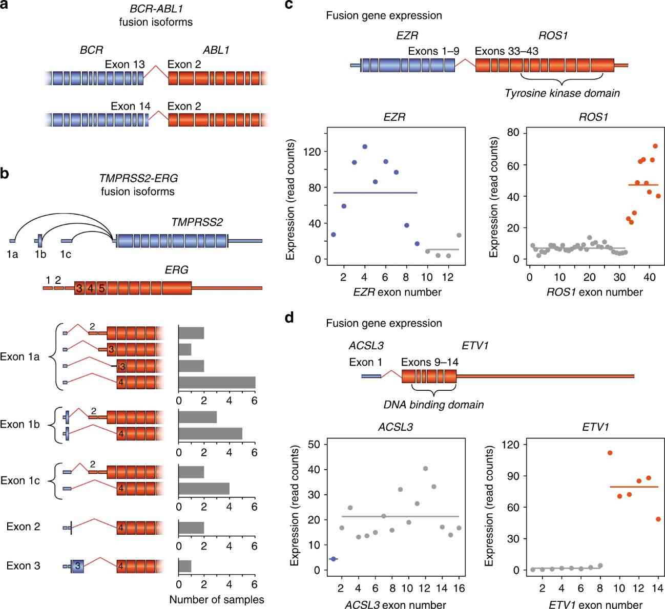 Fig. 2. Diversity of fusion junctions and gene expression. (Heyer et al., 2019)
