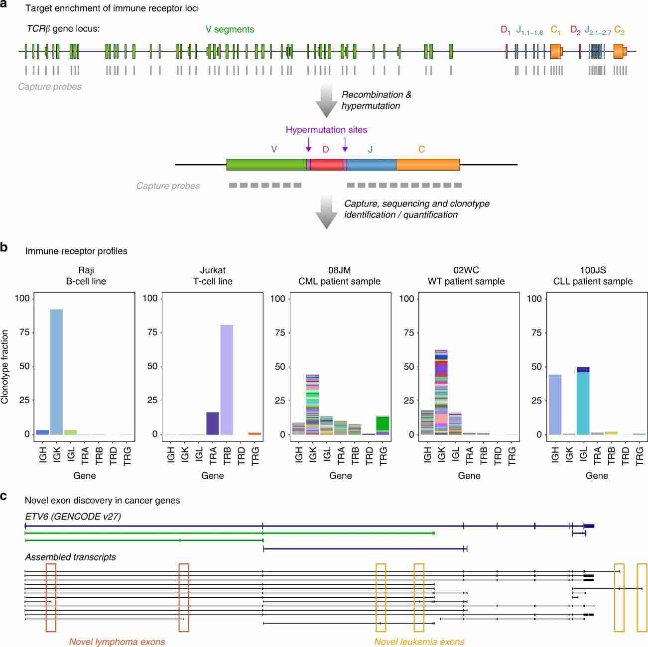 Fig. 3. Novel discoveries in transcriptomic analysis. (Heyer et al., 2019)