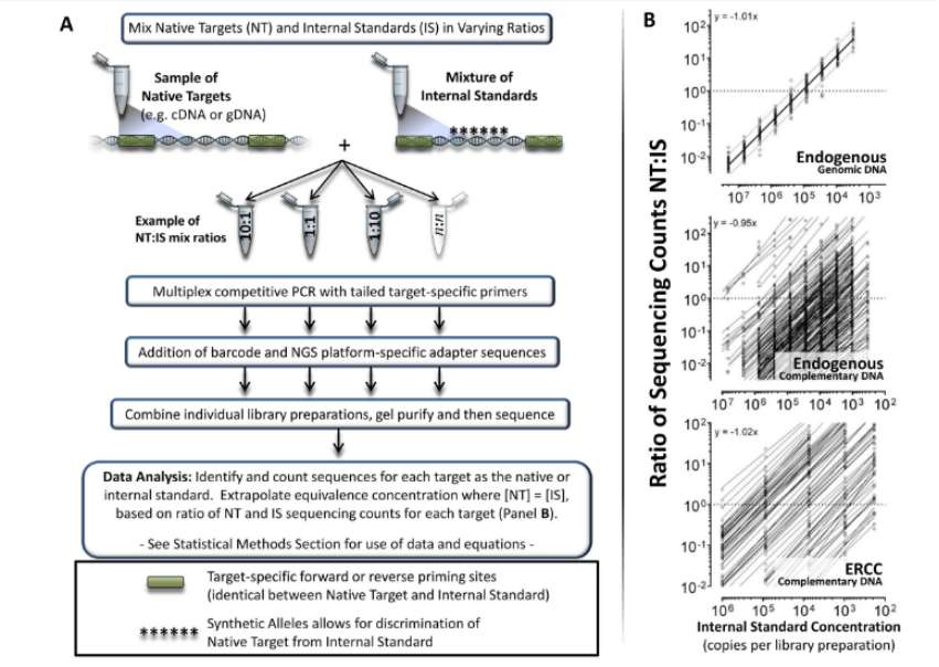Overview of amplicon library preparation protocol and data analysis (Blomquist et al., 2013)