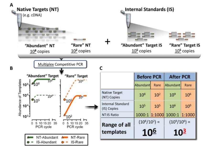 Schematic depiction of library preparation reduces oversampling (Blomquist et al., 2013)
