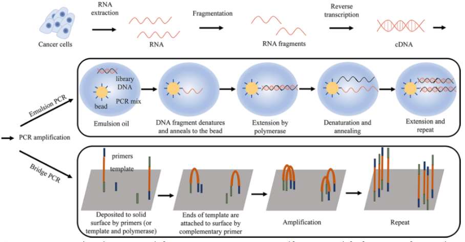 RNA extraction and template preparation in cancer sample (Hong et al., 2020)
