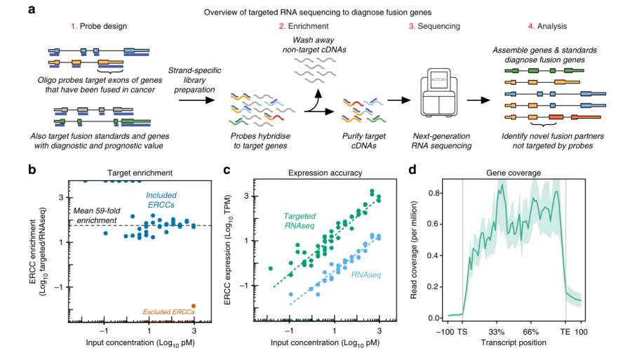 Higher efficiency of targeted RNA-seq and panel validation (Heyer et al., 2019)