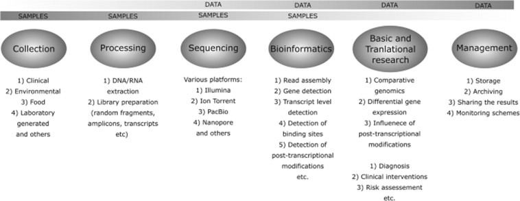 Summary of the stages in employing NGS technologies for data collection and application. (Kozińska, et al., 2019)