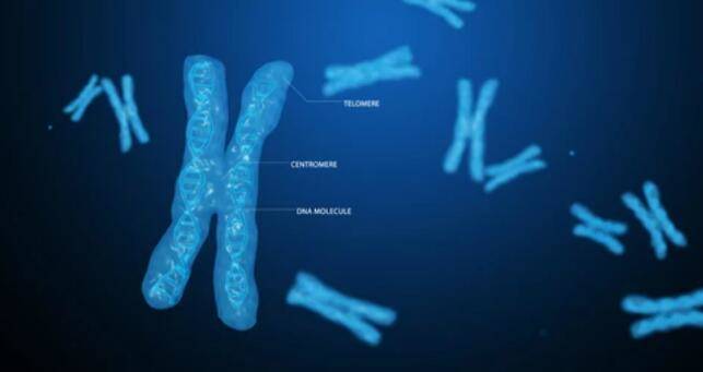 What is Telomere-To-Telomere Sequencing?