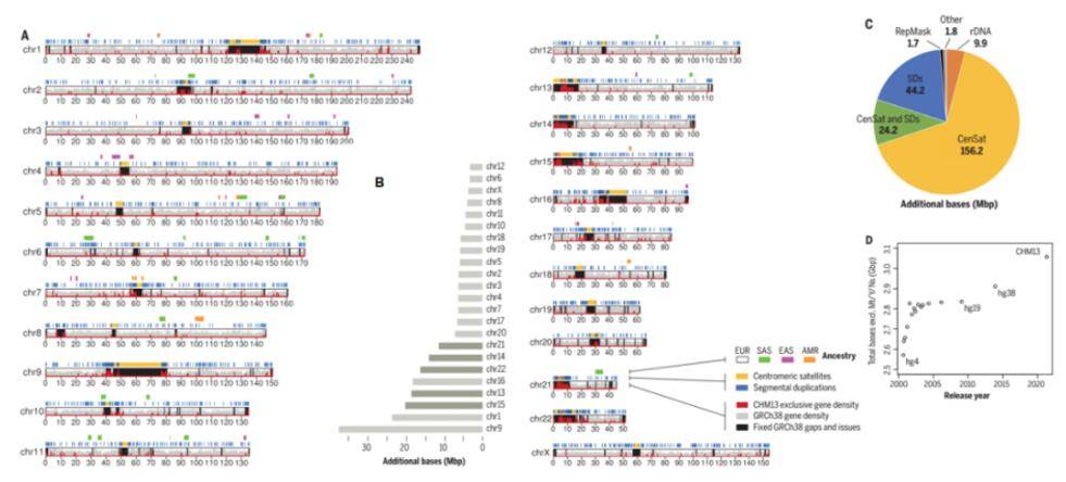 The complete T2T-CHM13 human genome assembly