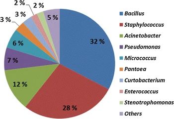 Figure 2. Distribution of Microbial Diversity Illustrated by a Pie Chart. (Fykse et al., Identification of airborne bacteria by 16S rDNA sequencing, MALDI-TOF MS and the MIDI microbial identification system, 2015)