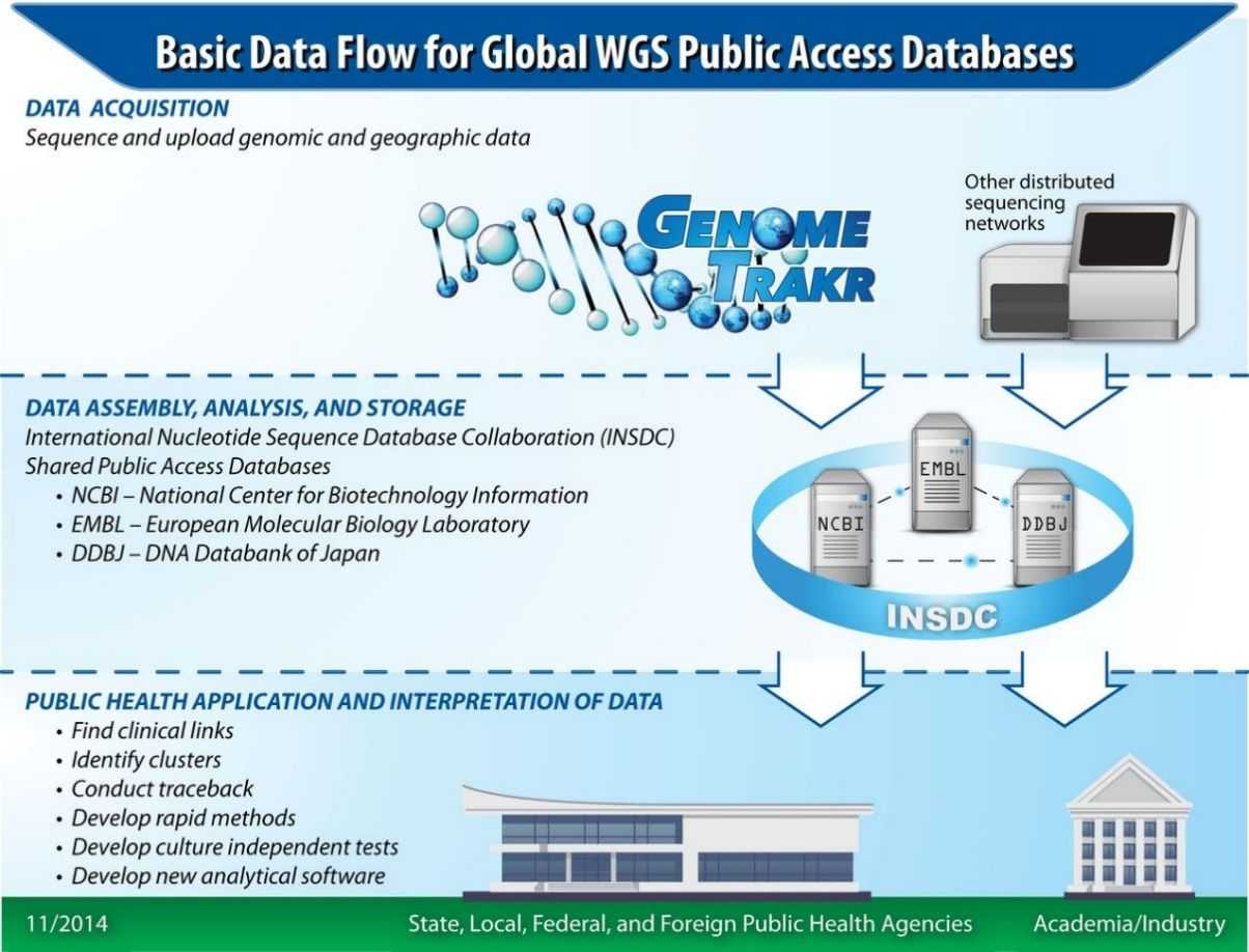 Figure 4. Workflow of Data Management in the GenomeTrakr Database and Network. (Allard et al., Practical value of food pathogen traceability through building a whole-genome sequencing network and database, 2016)
