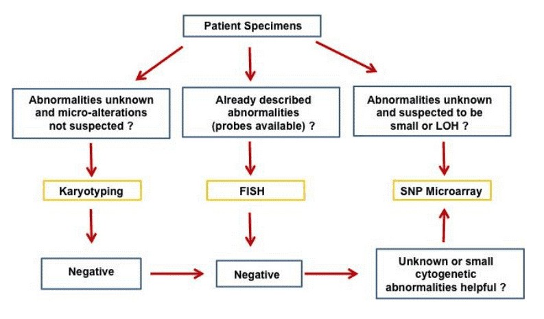 Figure 1. Proposed utilization of SNP array technology for the detection and study of hematopoietic malignancies (Song J, et al., SNP Array in Hematopoietic Neoplasms: A Review, 2016).