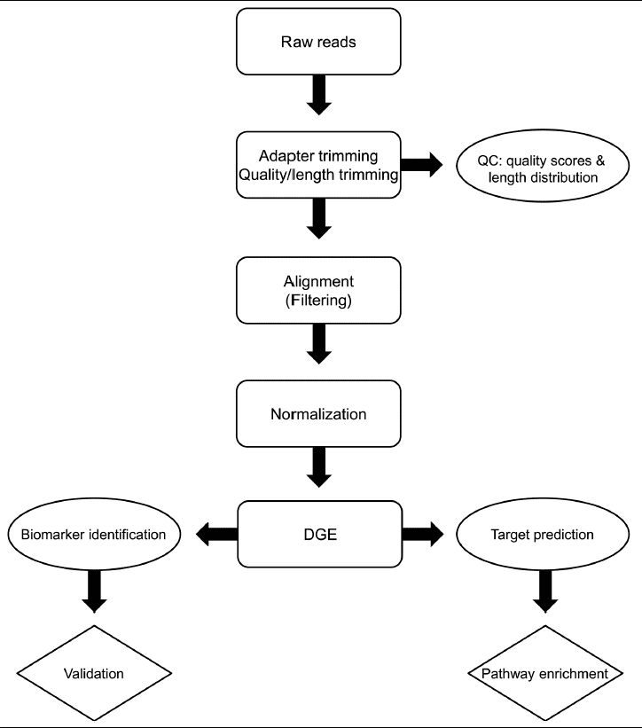 Figure 7. Workflow for Bioinformatics Analysis of Small RNA Sequencing Data. (Buschmann et al., 2016)