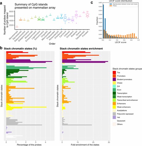 Analysis of CpG islands and chromatin states in mammalian methylation probes. (Arneson, et al. 2022)