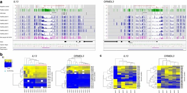 CpG methylation profiling of IL13 and ORMDL3 gene islands and shores, and comparison of bs-OS-Seq with the 450k array in PBMC from healthy males. (Söderhäll, C., et al., 2021)