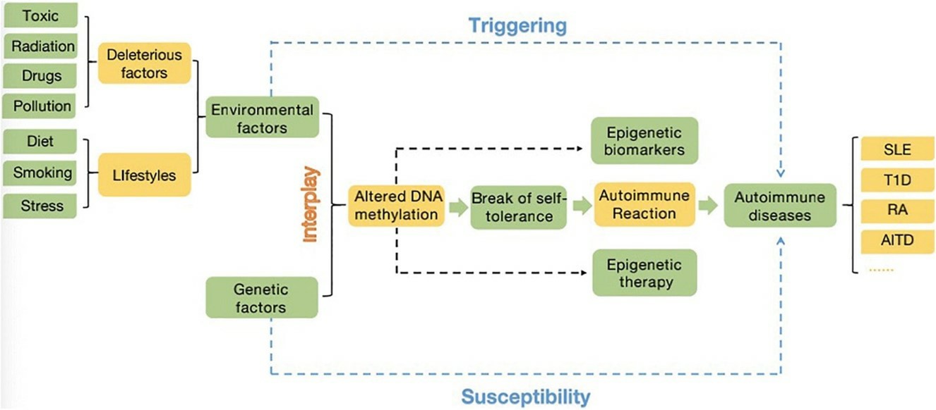 Interconnection between environmental and genetic factors in epigenetics. (Li, Jiaqi, et al., 2021)