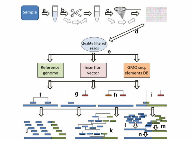 Approaches for detecting CNVs by application of WGS (Holst-Jensen et al., 2016)