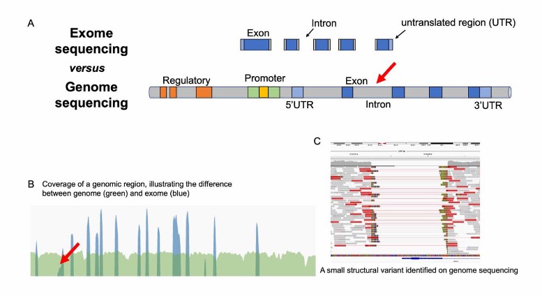 Variants assessed as requiring genome sequencing over exome sequencing (Monica et al., 2023)