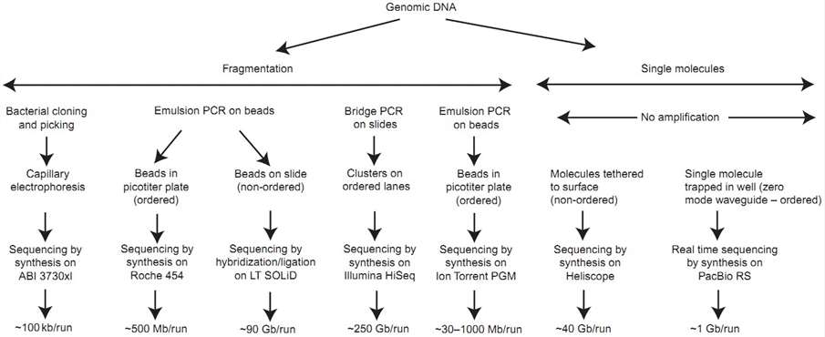 Figure 3. Major steps in employing high-throughput DNA-sequencing methodologies