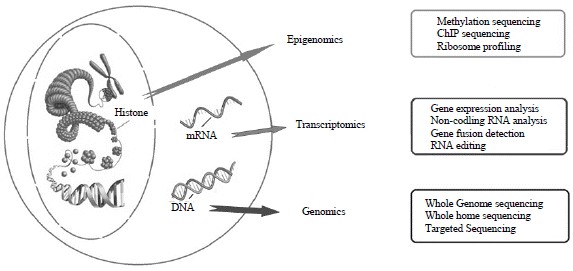Figure 1. Various methods of next-generation sequencing technologies (adapted from Kumar et al., 2017).