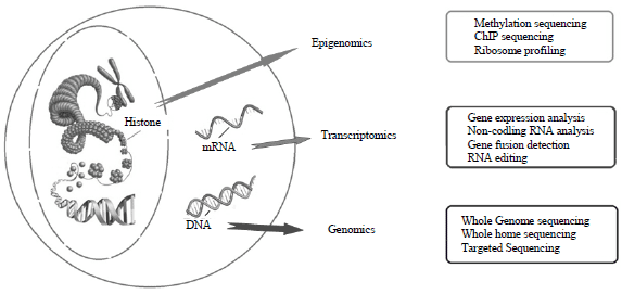 The NGS Revolution: Enabling Drug Development and Personalized Medicine