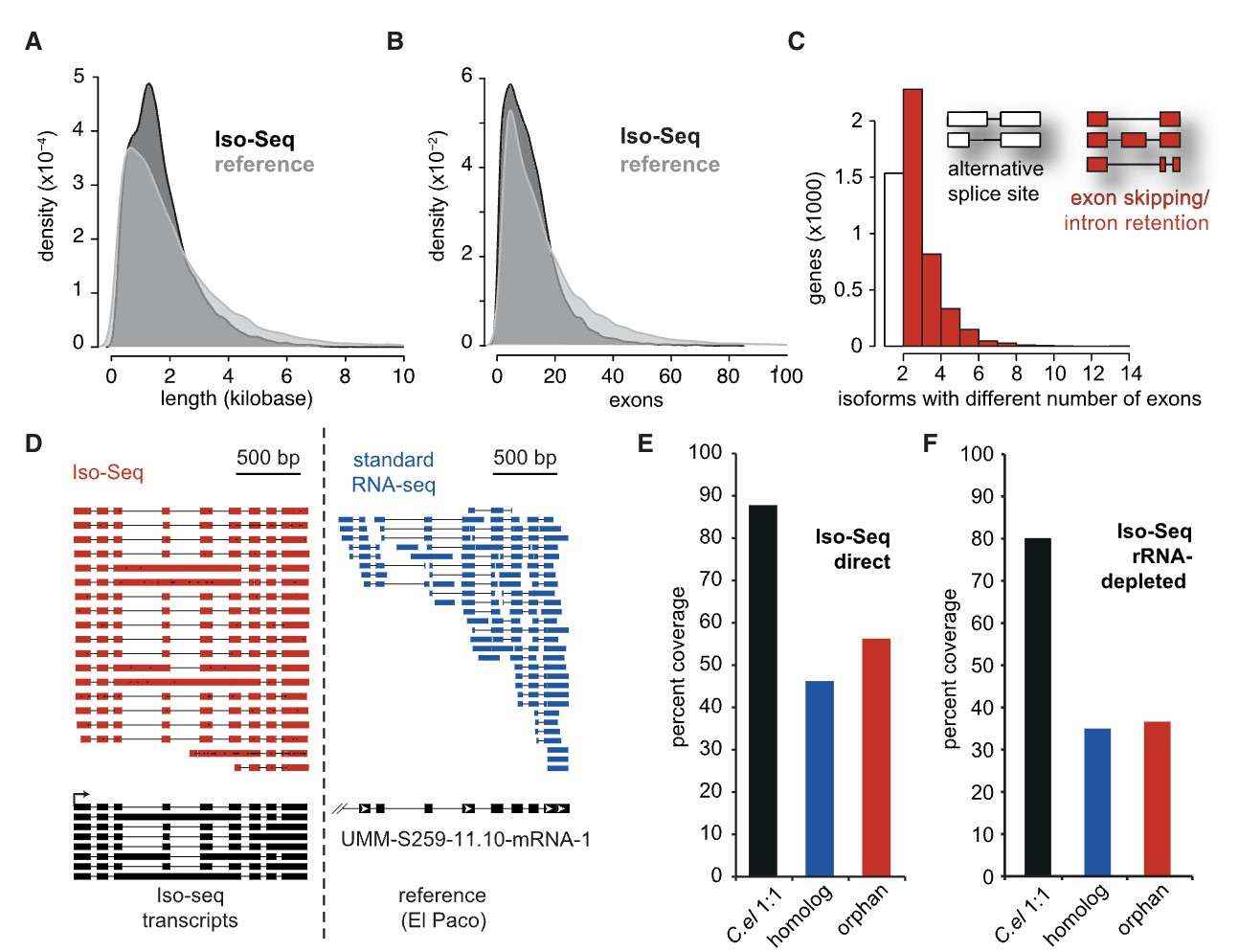 Iso-Seq enhances gene annotation accuracy, detects alternative splicing events, and differentiates between various evolutionary gene classes based on their structures (Werner et al., 2018)