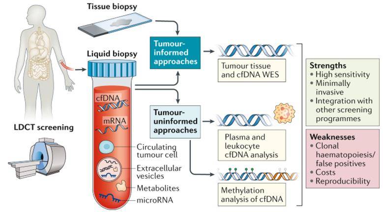 Liquid biopsy for early stage lung cancer.